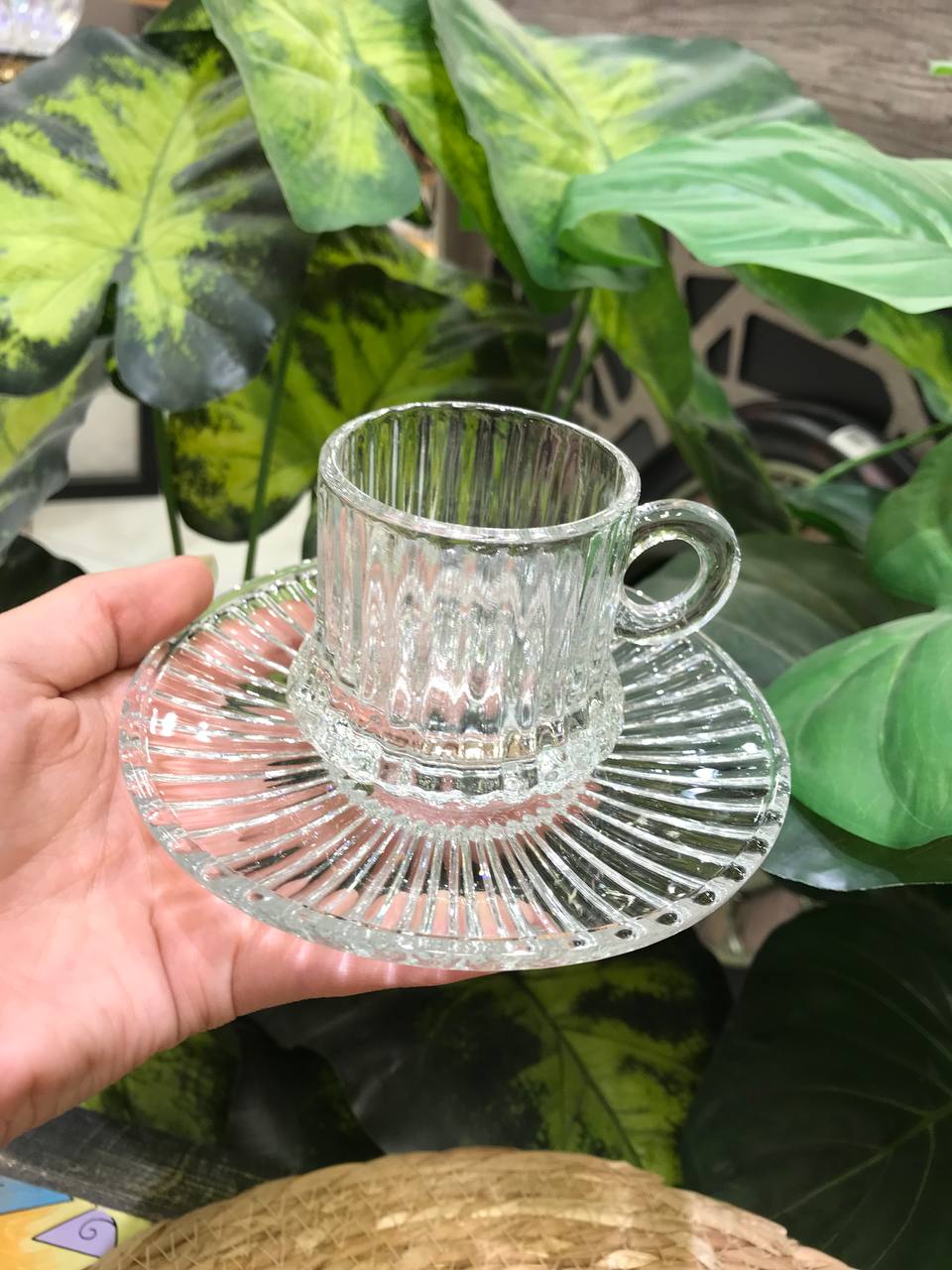 طقم قهوة روبوستا فاخر – 6 فنجان + 6 أطباق بتصميم أنيق