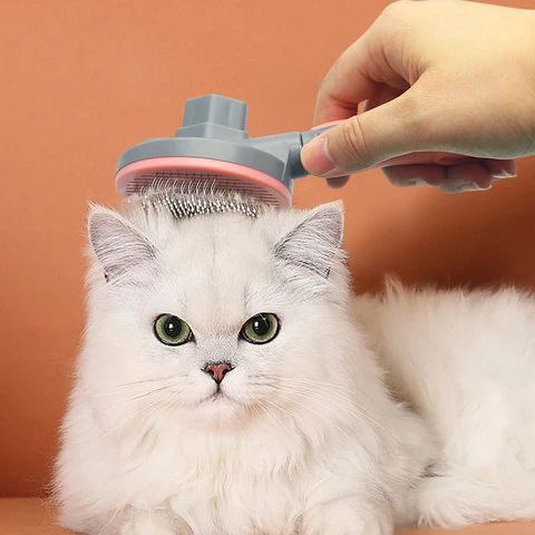فرشة إزالة شعر الحيوانات الأليفة – عملية وبتنضف نفسها! 🐶🐱