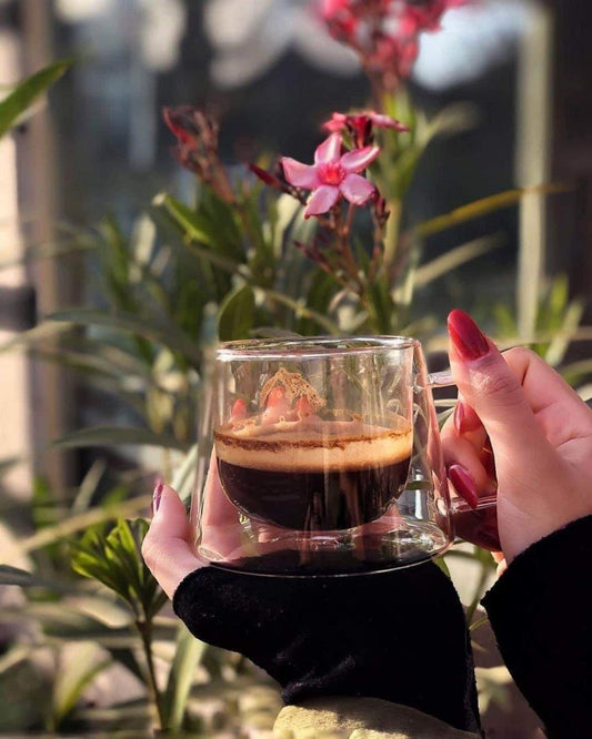 مج دبل هرمى بيركس حرارى 250 مل – جودة متفوقة وتحمل عالي