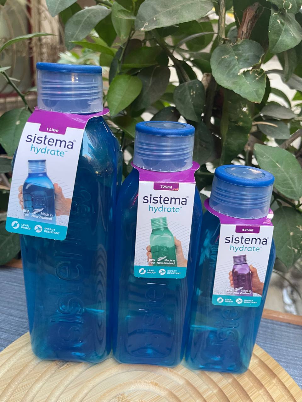 💧 زجاجة مياه Sistema الأصلية – أناقة، أمان، وسهولة ترطيب أينما كنت!