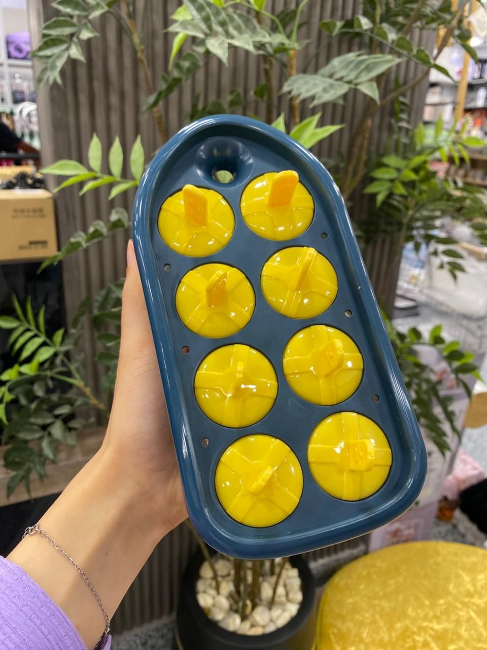 🍦✨ قوالب آيس لولي – متعة التحلية في بيتك