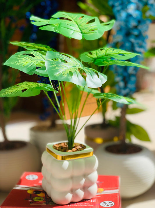 شجرة ديكور مستوردة بلمسة طبيعية أنيقة 🌿✨