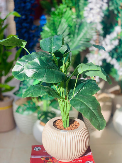 شجرة ديكور صناعية كبيرة – بوت بلاستيك كوبي IKEA – تصميمات متنوعة