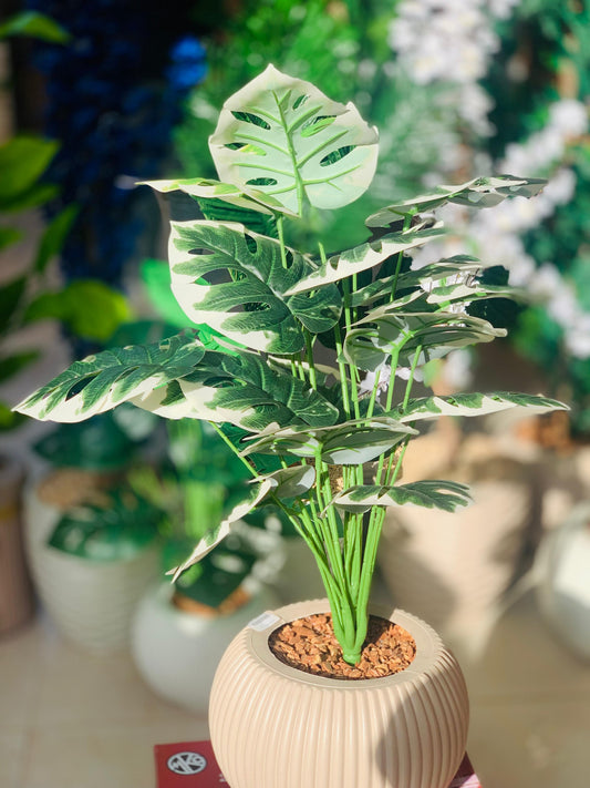 شجرة ديكور صناعية كبيرة – بوت بلاستيك كوبي IKEA – تصميمات متنوعة
